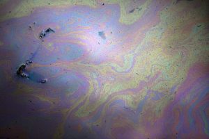 This is an image from a recent oil spill in Ecuador - taken from the Rainforest Action Network