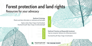 Forest protection and land rights resources for advocacy - twitter card
