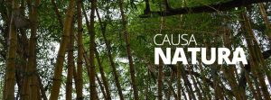 causa natura