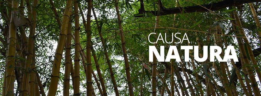 causa natura