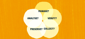 manage analyse verify collect.