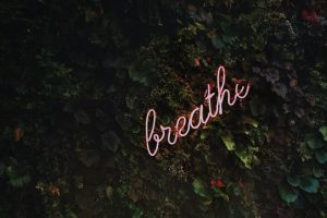 Neon letters spelling 'breathe' on a wall of leaves